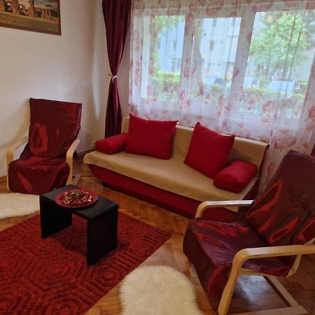 Petuniei Apartment Braşov Buitenkant foto