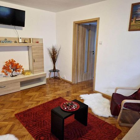 Petuniei Apartment Braşov Buitenkant foto