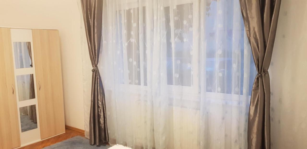 Petuniei Apartment Braşov Buitenkant foto