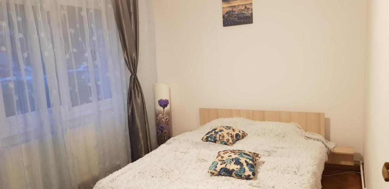 Petuniei Apartment Braşov Buitenkant foto