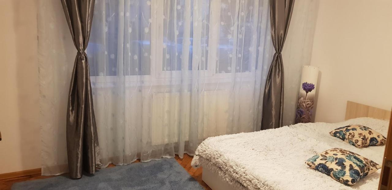 Petuniei Apartment Braşov Buitenkant foto