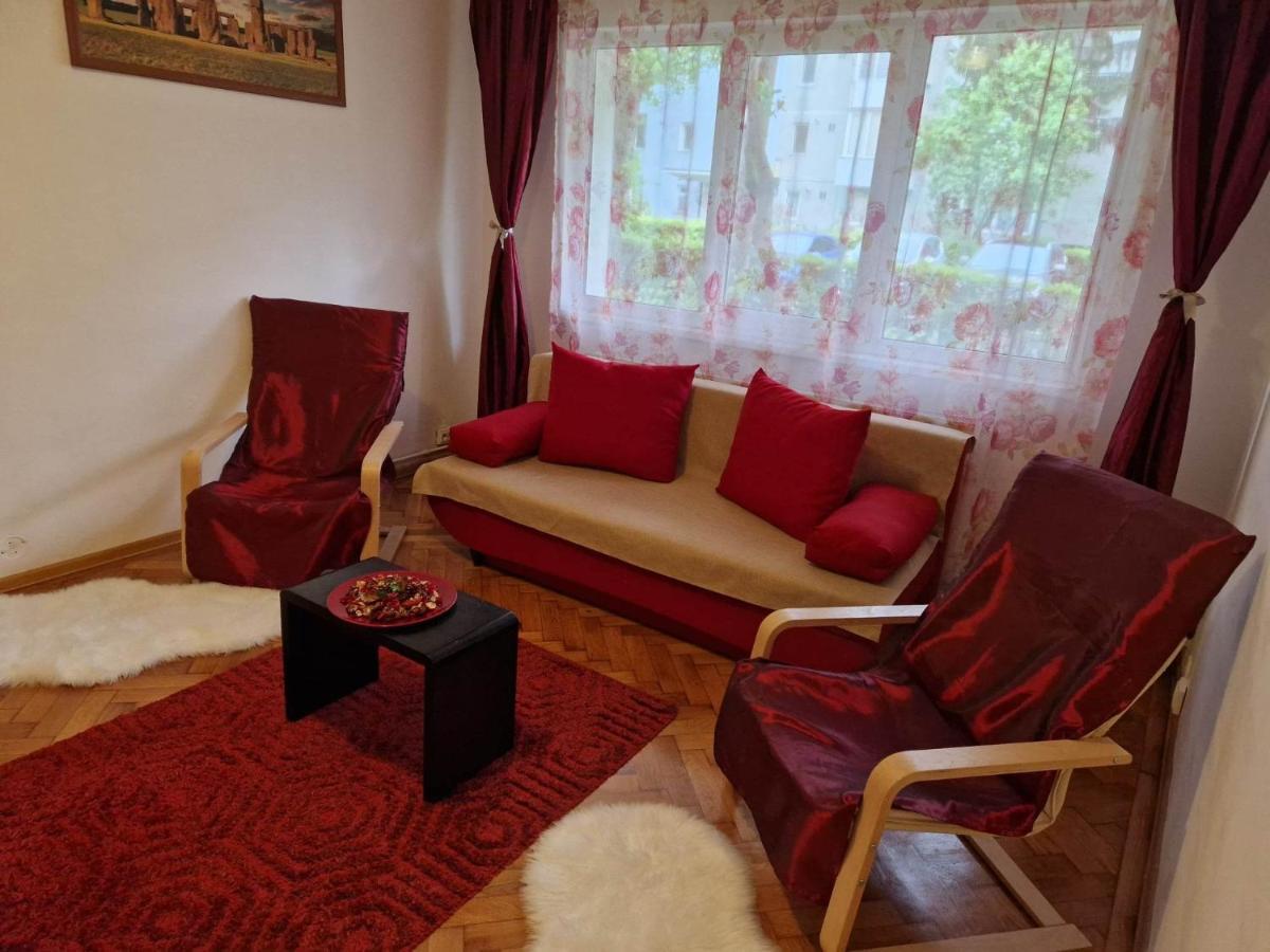 Petuniei Apartment Braşov Buitenkant foto