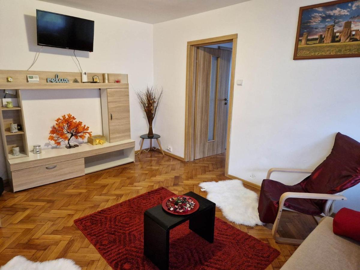 Petuniei Apartment Braşov Buitenkant foto