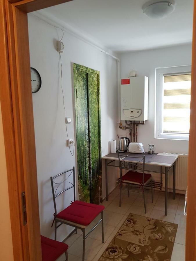 Petuniei Apartment Braşov Buitenkant foto