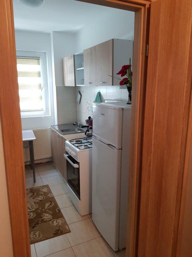 Petuniei Apartment Braşov Buitenkant foto