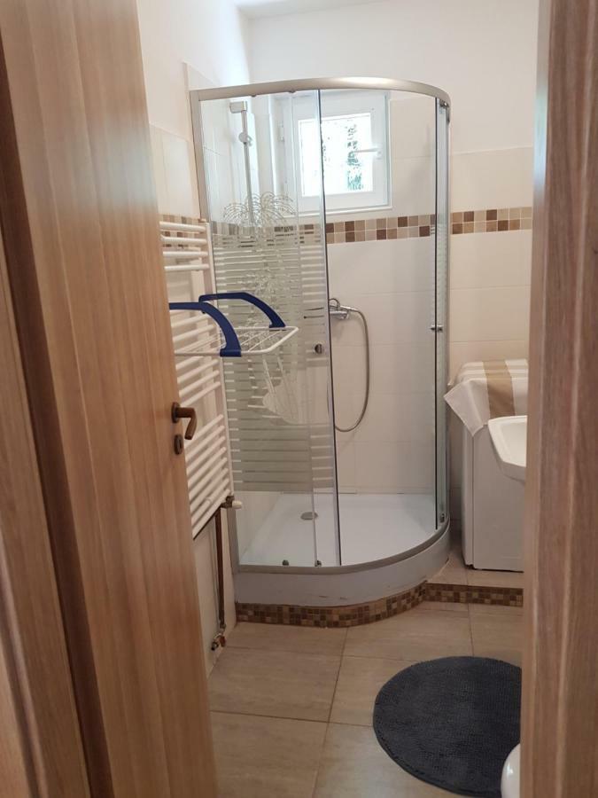 Petuniei Apartment Braşov Buitenkant foto