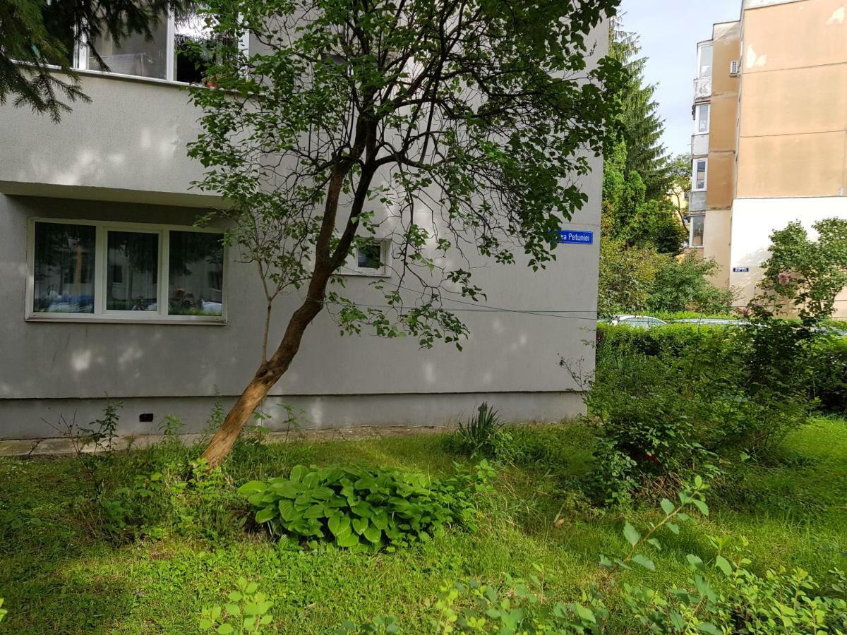 Petuniei Apartment Braşov Buitenkant foto